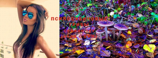 марки lsd Армянск