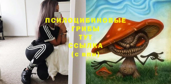 каннабис Аркадак