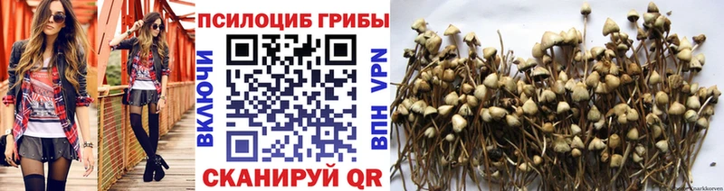 Галлюциногенные грибы GOLDEN TEACHER  купить наркотик  Малоярославец 